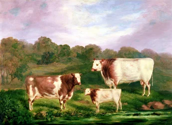 Towneley-Stammbäume, 1858-61